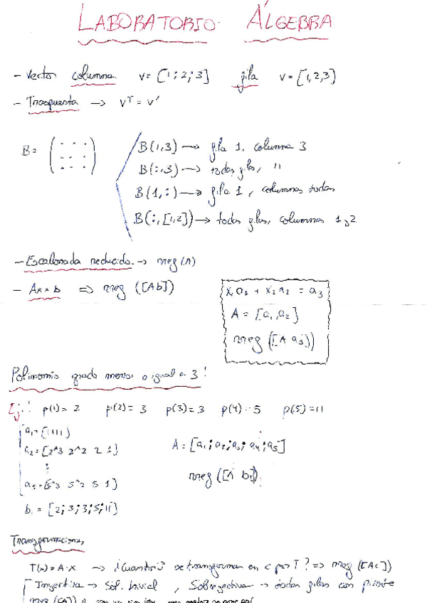 Miniatura del documento Apuntes-Lab-Algebra.pdf