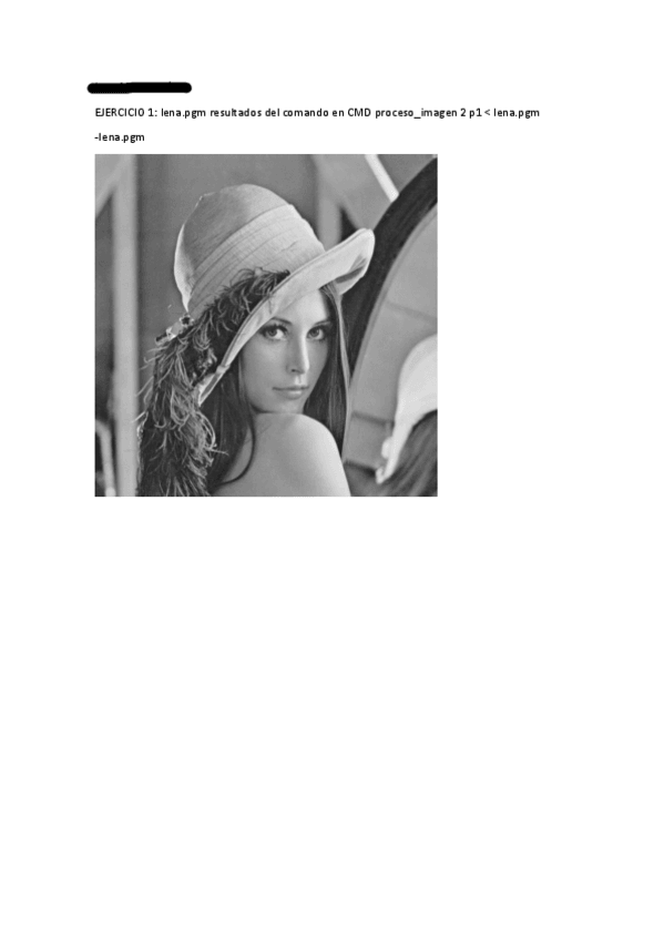 Miniatura del documento Trabajo-2-Ej1-C.pdf