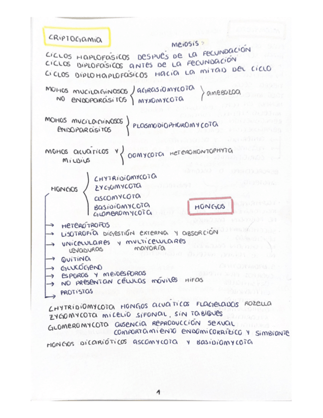 Miniatura del documento Resumen-para-aprobar-examen-temario-completo.pdf