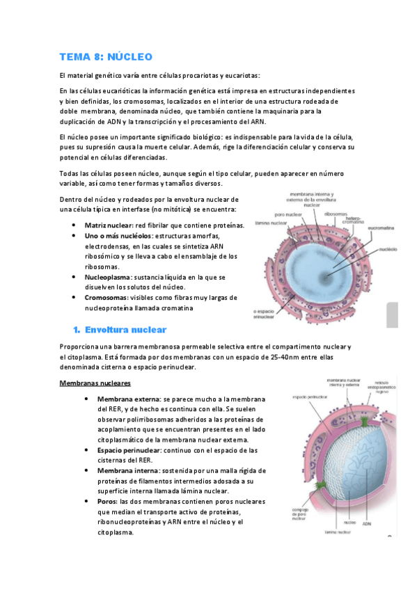 Miniatura del documento TEMA-8.pdf