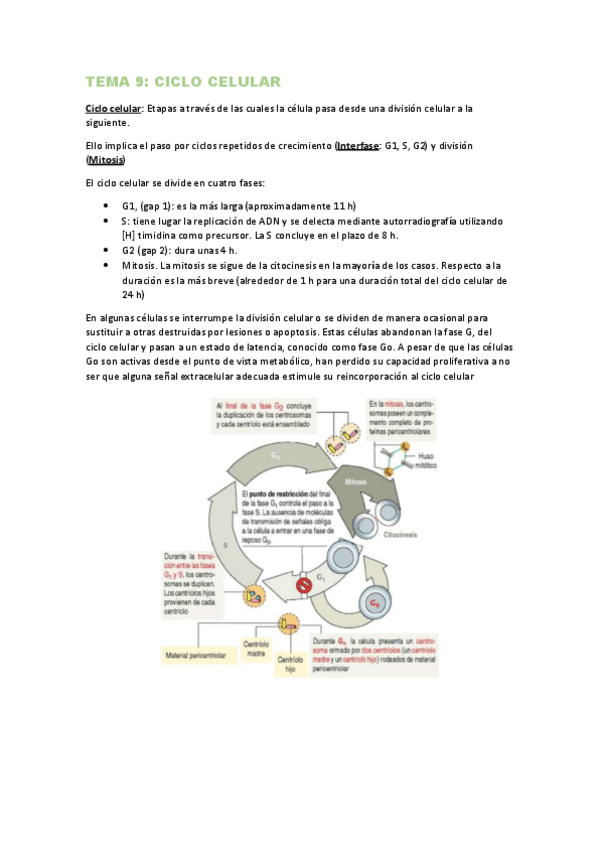 Miniatura del documento TEMA-9.pdf