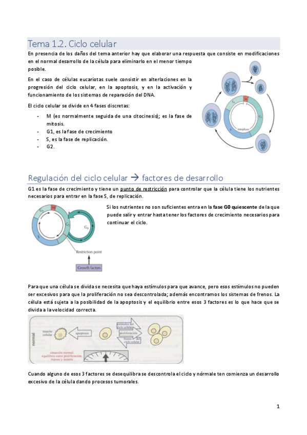 Miniatura del documento Tema-1.2.pdf