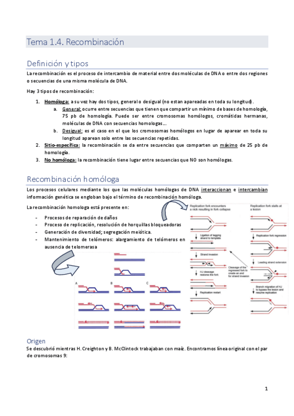 Miniatura del documento Tema-1.4.pdf