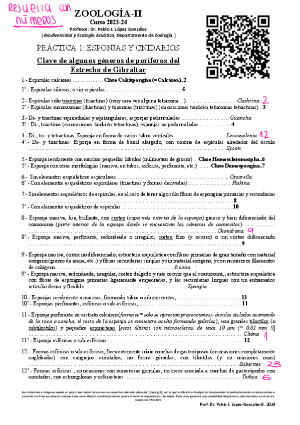 Miniatura del documento practica-1-zoologia.pdf