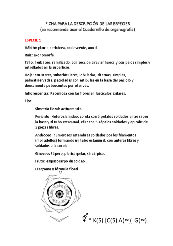 Miniatura del documento Practica-5-Ficha-descripcion-de-especies.pdf