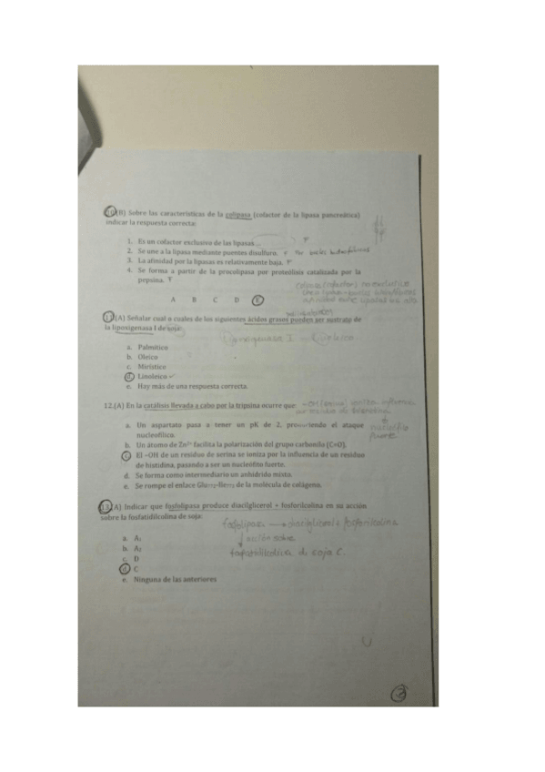 Miniatura del documento examenes-tipo-test-2.pdf