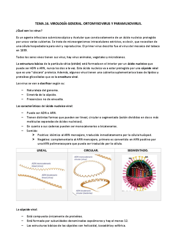 Miniatura del documento TEMA.16. virus ARNdocx.pdf