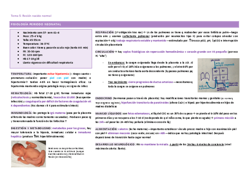 Miniatura del documento Tema-5.pdf