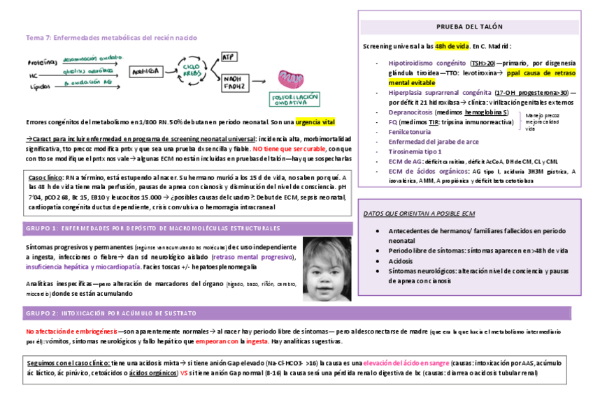 Miniatura del documento Tema-7.pdf