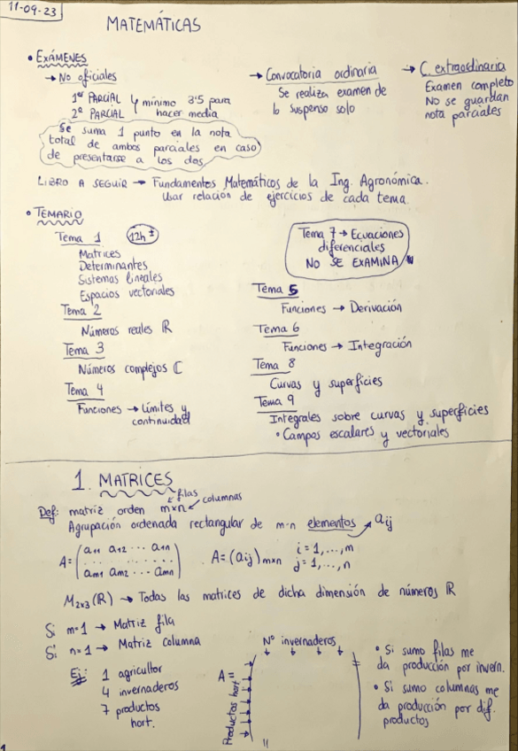 Miniatura del documento Tema-1.-Matrices-y-Espacios-Vectoriales.pdf