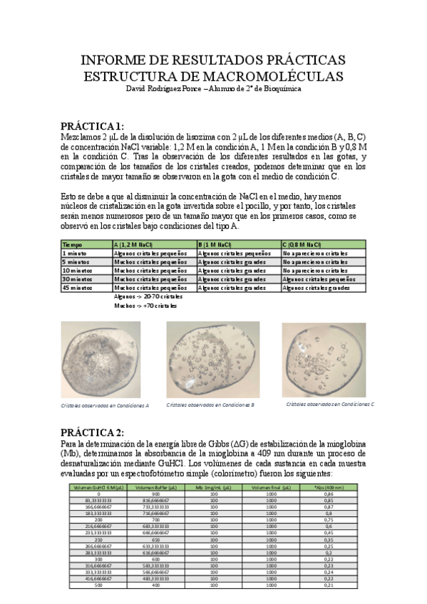 Miniatura del documento Informe-completo-practicas-EMM.pdf