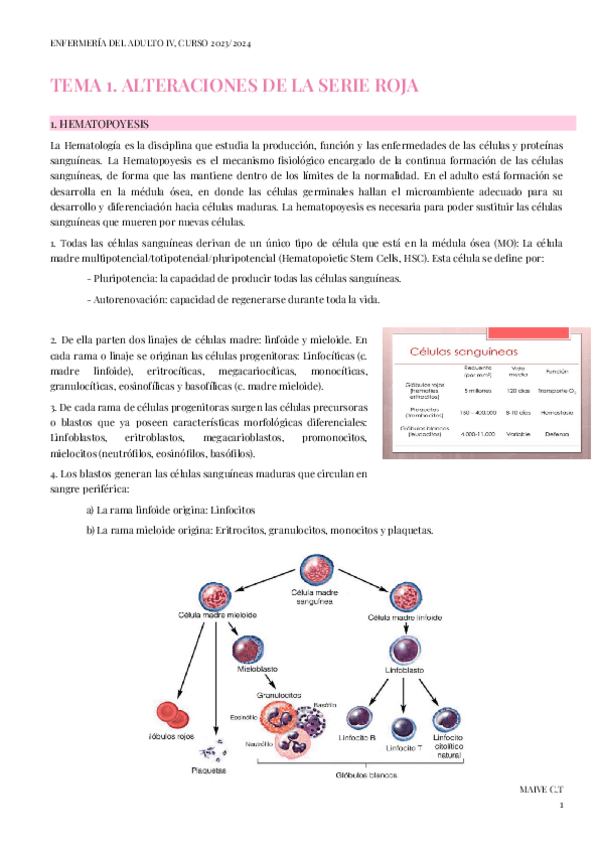 Miniatura del documento TEMA-1-HEMATO-AD4.pdf