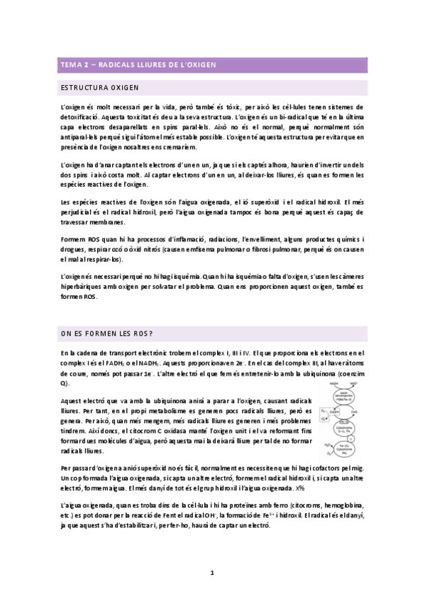 Miniatura del documento TEMA-1.2.docx.pdf