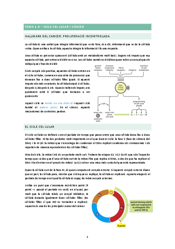 Miniatura del documento TEMA-1.4.docx.pdf