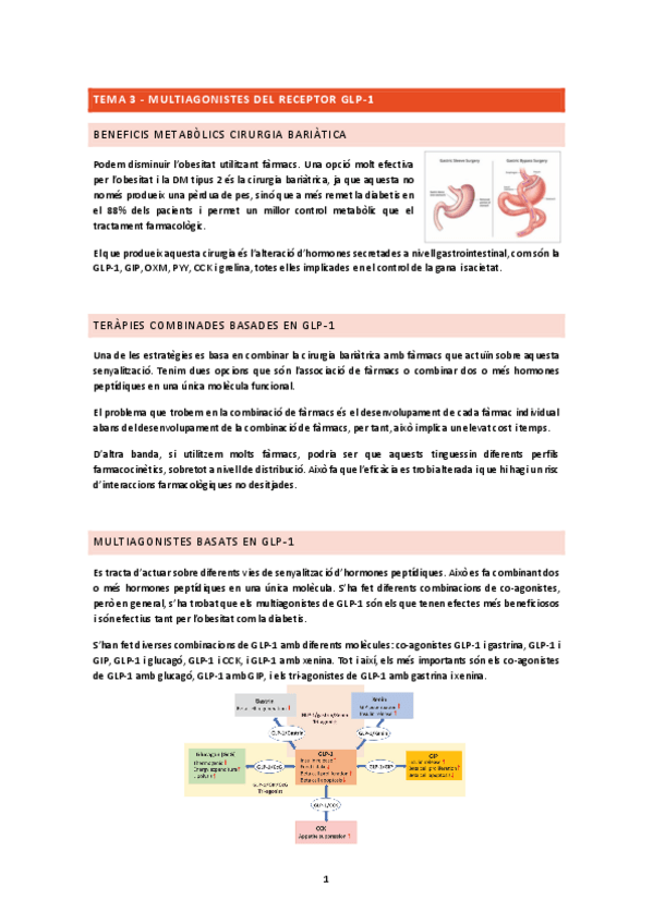 Miniatura del documento TEMA-3.docx.pdf