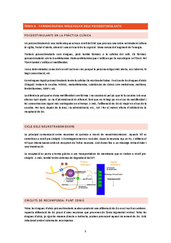 Miniatura del documento TEMA-4.docx.pdf