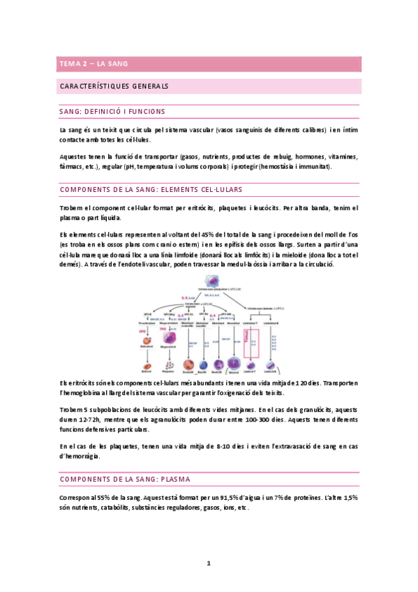 Miniatura del documento TEMA-2.docx.pdf
