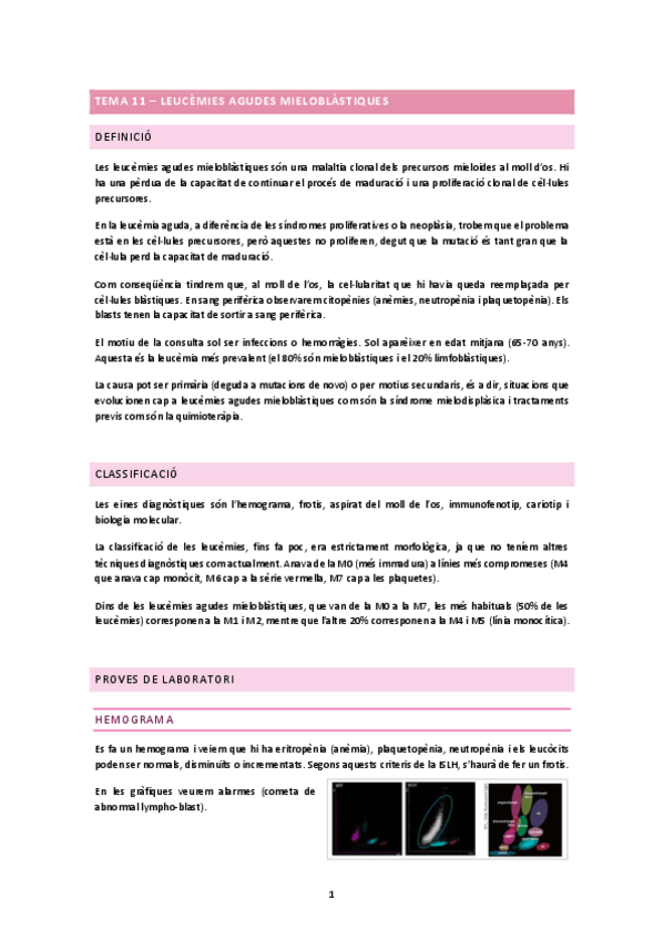 Miniatura del documento TEMA-11.docx.pdf