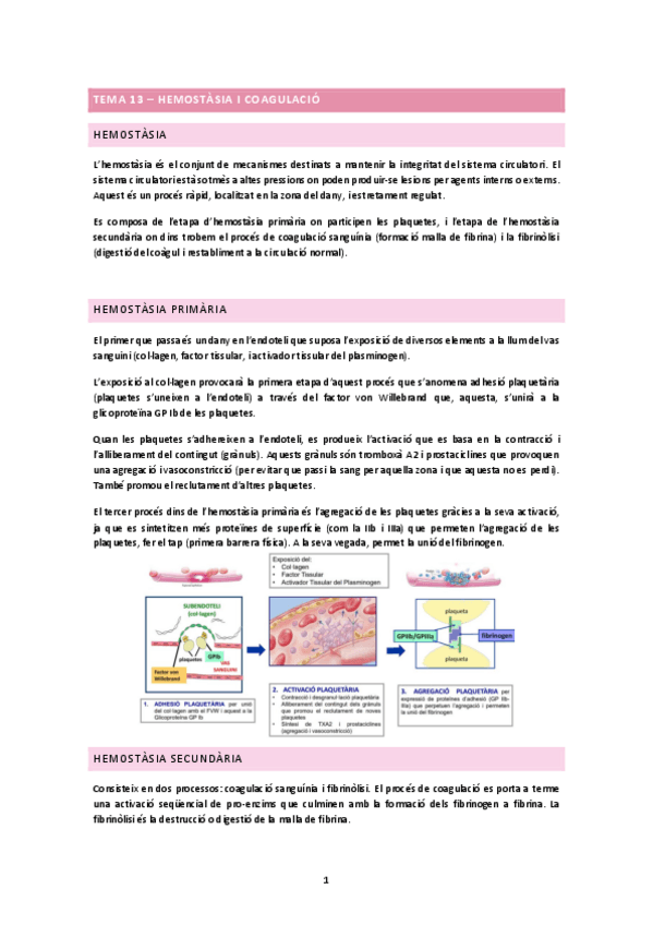 Miniatura del documento TEMA-13.docx.pdf