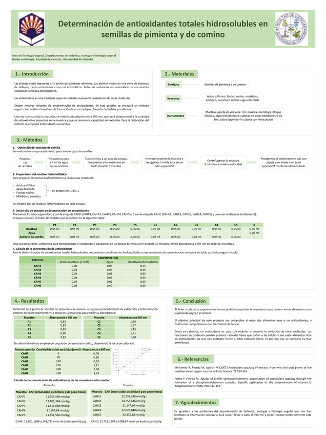 Miniatura del documento POSTER.pdf