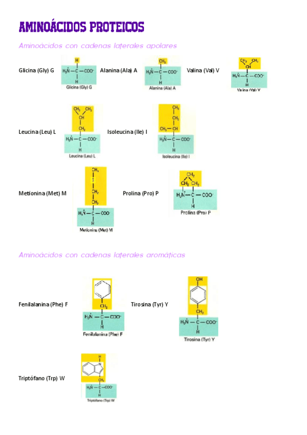 Miniatura del documento AMINOACIDOS-PROTEICOS.pdf