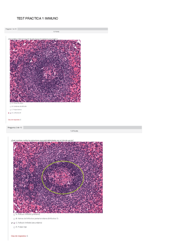 Miniatura del documento Test-practica-1.pdf