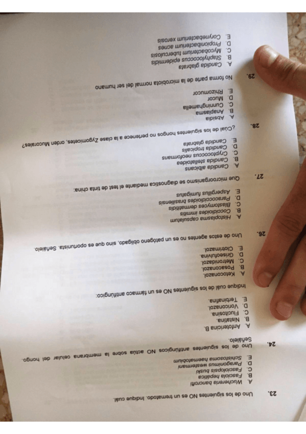 Miniatura del documento bac5.pdf