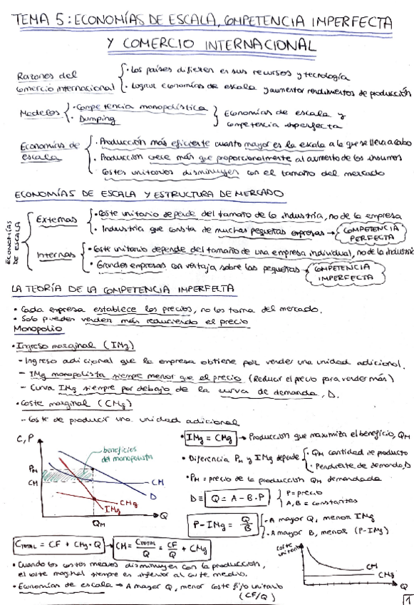Miniatura del documento EstructuraMercadInternacAPUNTES2P.pdf