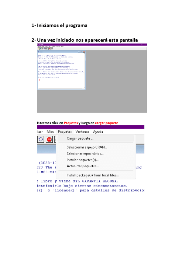 Miniatura del documento P1-EXPLICADA-PASO-A-PASO-CON-IMAGENES.pdf