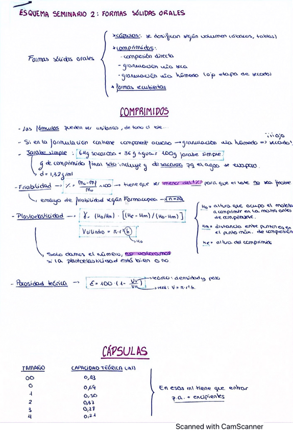 Miniatura del documento s2-formas-solido-capsulas-y-comprimidos.pdf