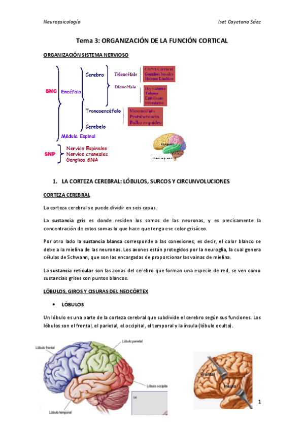 Miniatura del documento TEMA 3.pdf