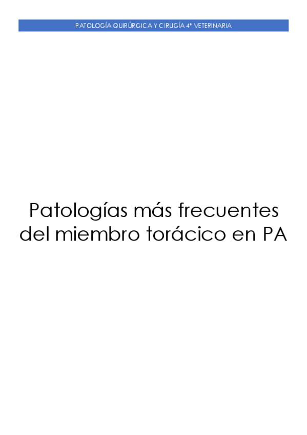 Miniatura del documento Patologias-mas-frecuentes-del-miembro-toracico-en-PA.pdf