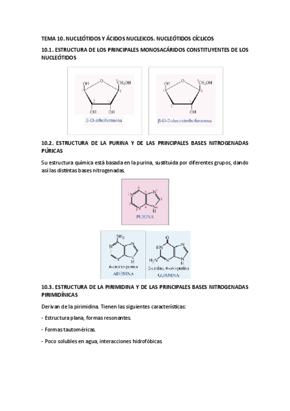 Miniatura del documento SEGUNDO-PARCIAL-BQE.pdf