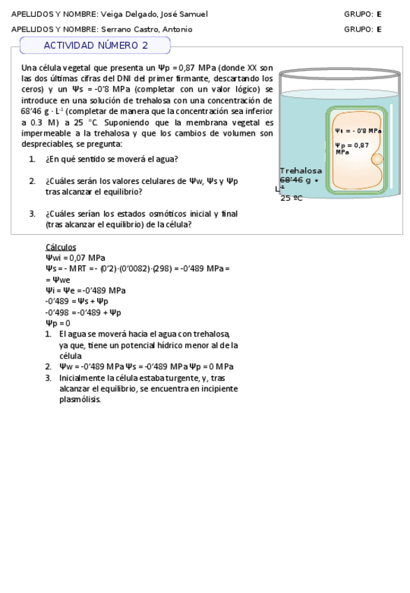 Miniatura del documento ACTIVIDAD2.pdf