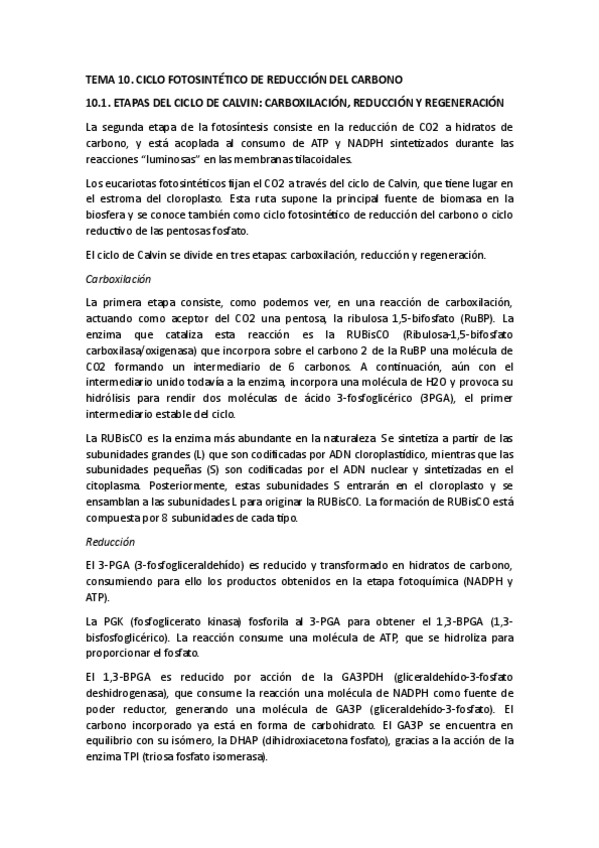 Miniatura del documento SEGUNDO-PARCIAL-FV.pdf