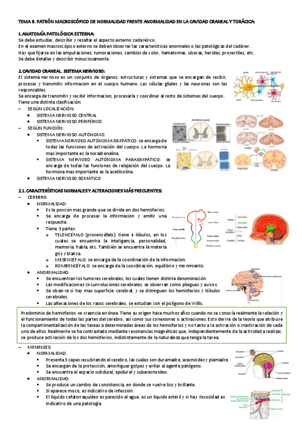 Miniatura del documento TEMA-8-NECRO.pdf