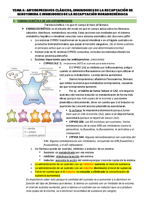 Miniatura del documento TEMA-6.pdf