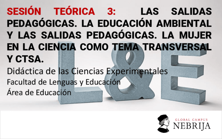 Miniatura del documento Sesion-teorica-3-Transversalidad.pdf