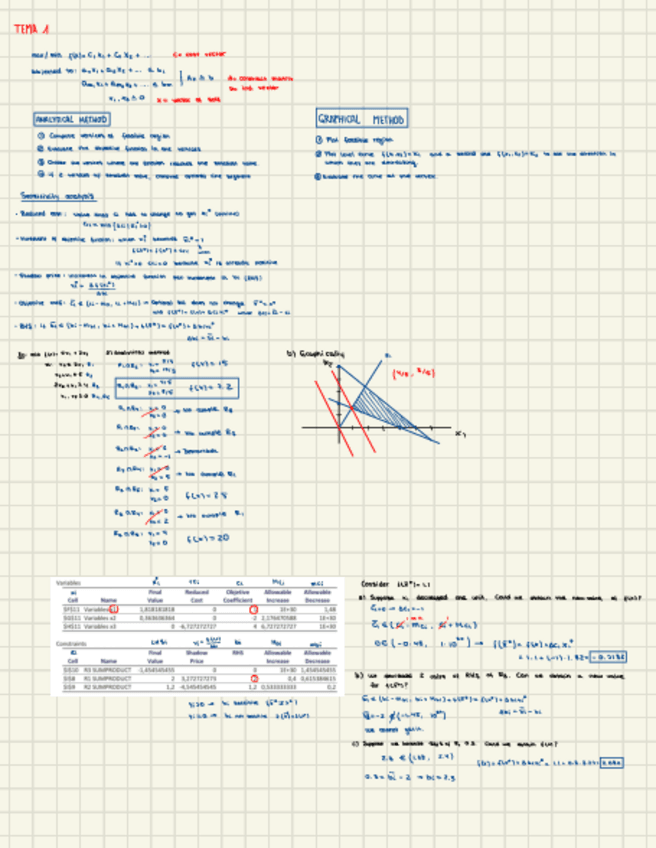 Miniatura del documento Apuntes-opti.pdf