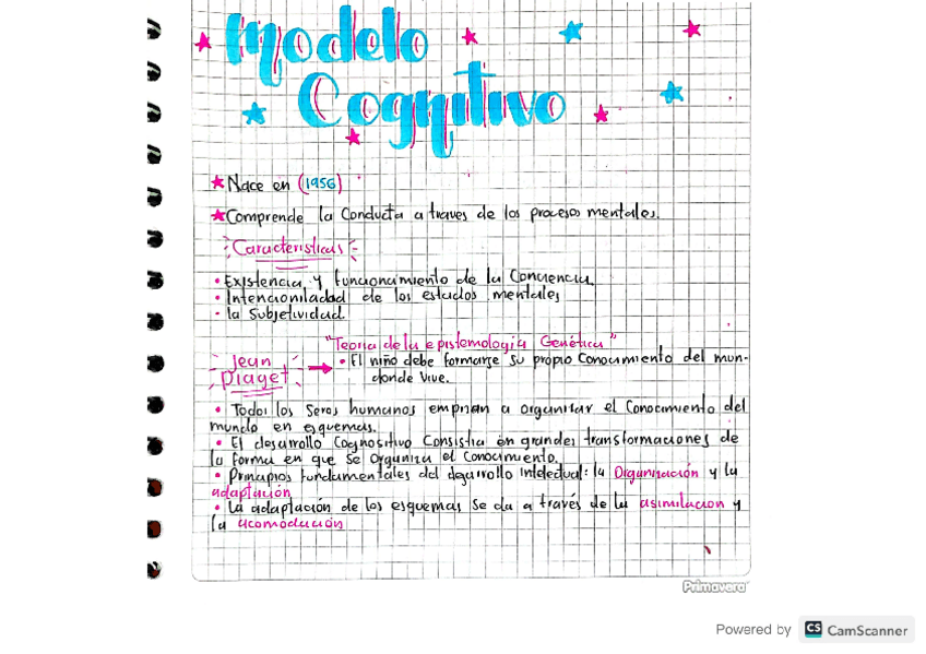 Miniatura del documento COGNITIVISMO.pdf