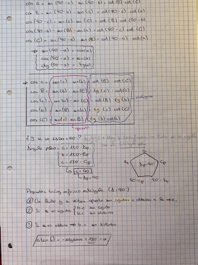 Miniatura del documento IMG7398.jpeg