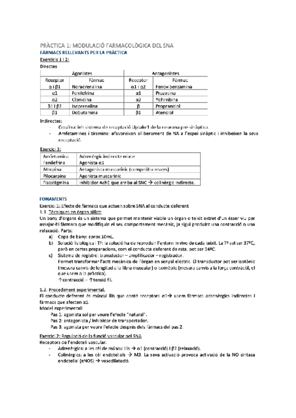 Miniatura del documento RESUM-PRACTIQUES.pdf
