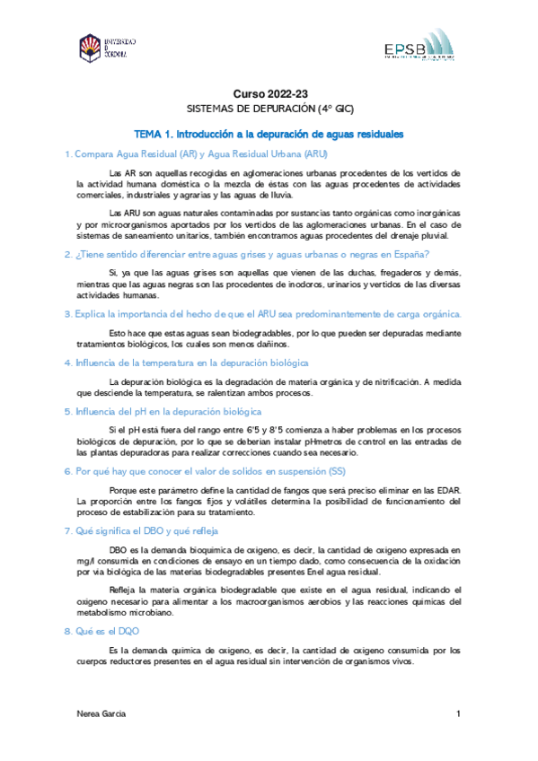 Miniatura del documento Todas-las-preguntas-DEPURACION.pdf