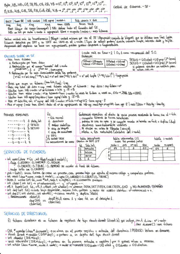 Miniatura del documento CHULETASSO.pdf