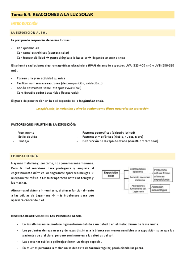 Miniatura del documento tema-6.4-cuidados-del-adulto-II.pdf