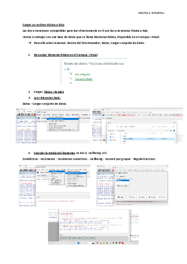 Miniatura del documento Practica-3-Paso-a-Paso.-Cargar-archivos.pdf