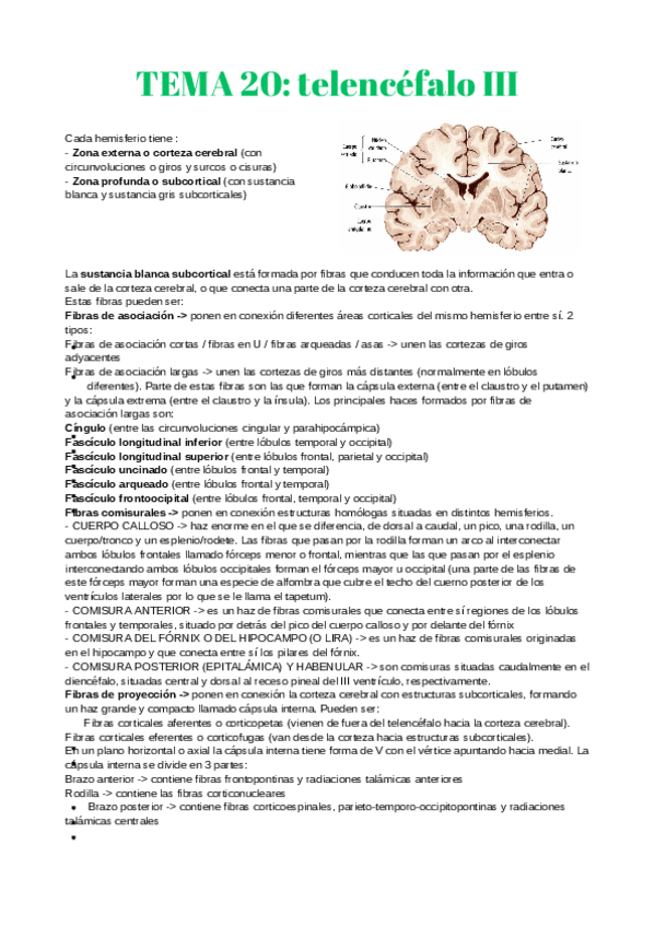 Miniatura del documento anatomia-2-20-23.pdf