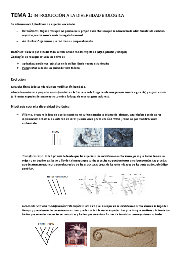 Miniatura del documento TEMA-1-Introduccion-a-la-diversidad-biologica.pdf