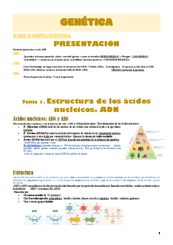 Miniatura del documento T1-y-T2-GENETICA.pdf