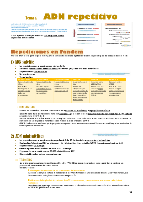 Miniatura del documento T4-GENETICA.pdf